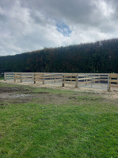 Custom built timber stalls with aluminium gate